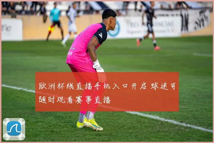欧洲杯线直播手机入口开启 球迷可随时观看赛事直播